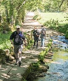 camino de santiago - walking the camino.jpg